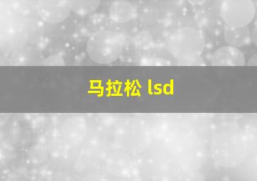 马拉松 lsd